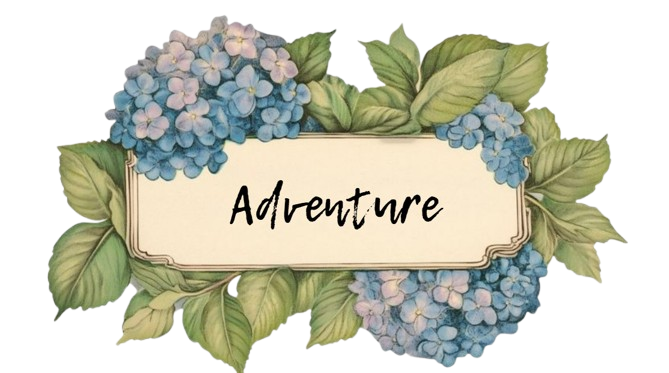 adventure genre